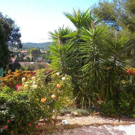 Ecrin De Verdure Sur Le Lavandou - Classement Tourisme 3 Etoiles Exterior foto